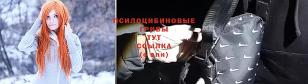 Альфа ПВП Арсеньев